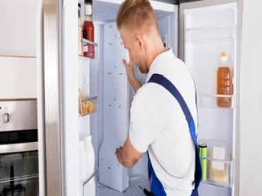 Best Freezer Light not Working