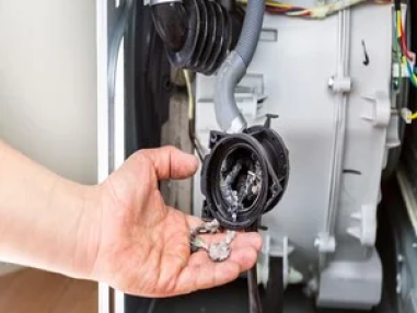 Best Drain And Main Motor